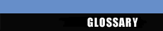 Glossary