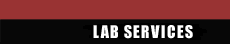 Lab Services